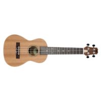 Peavey Student Ukulele