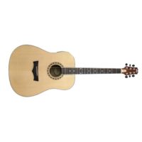 DW-2 Acoustic