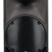 10" 2-way Passive SR spkr
