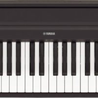 Entry level, 88-key black digital piano.