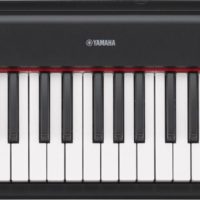 61-key entry-level Piaggero ultra-portable digital piano. Black