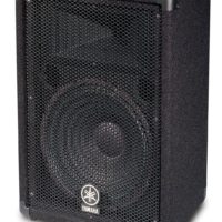 12" 2 WAY LOUDSPEAKER SYSTEM