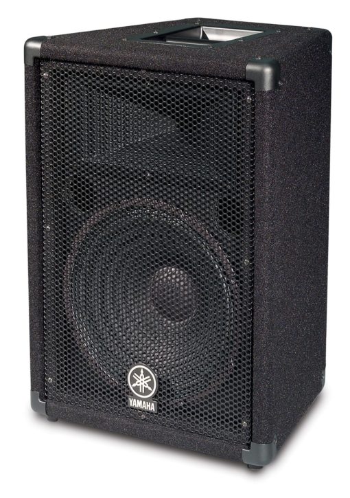 12" 2 WAY LOUDSPEAKER SYSTEM