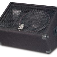 12" 2 WAY MONITOR LOUDSPEAKER SYSTEM