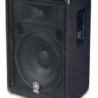 15" 2 WAY LOUDSPEAKER SYSTEM