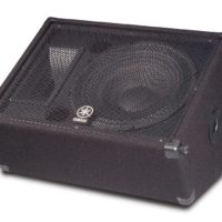 15" 2 WAY MONITOR LOUDSPEAKER SYSTEM