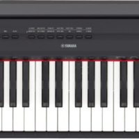 Black 88-note, weighted action digital piano with GHS action