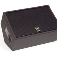 12" 2 WAY MONITOR LOUDSPEAKER SPRAY FINISH