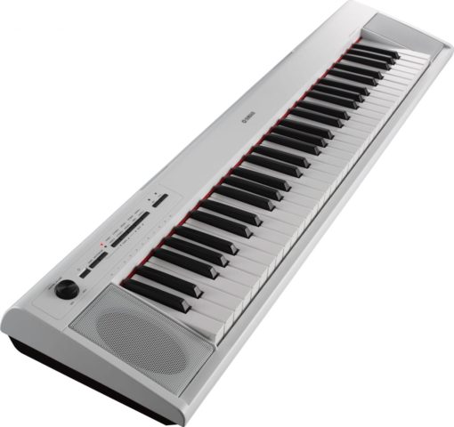 61-key entry-level Piaggero ultra-portable digital piano. White