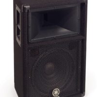 CARPETED 12" 2 WAY LOUDSPEAKER SYSTEM