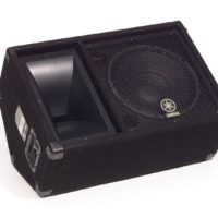 CARPETED 12" 2 WAY MONITOR LOUDSPEAKER