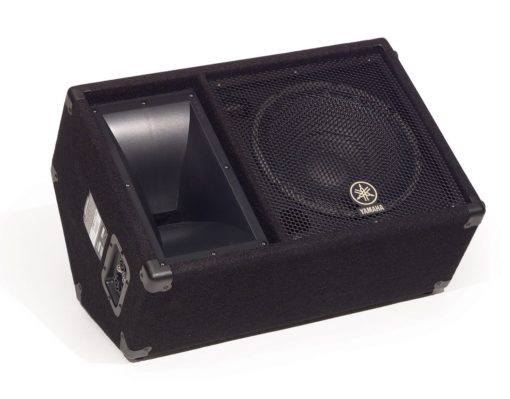 CARPETED 12" 2 WAY MONITOR LOUDSPEAKER