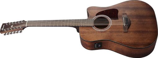IBANEZ AW5412CE - 12 String - Open Pore Natural - Image 5