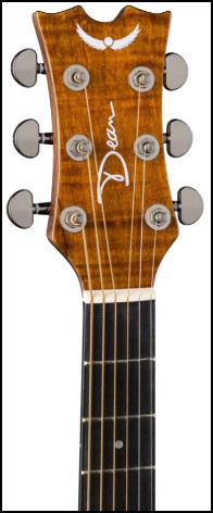 DEAN AX E Spalt Exotic Wood Cutaway A/E Guitar - Image 5