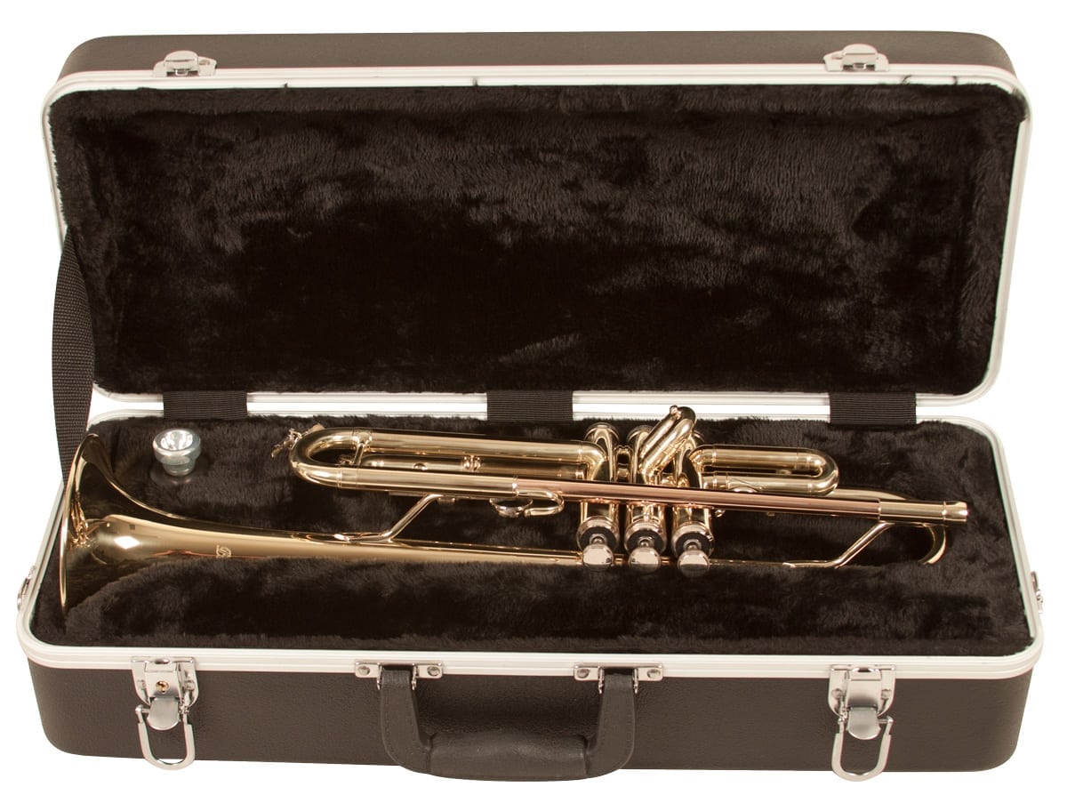 Trumpet case on sale