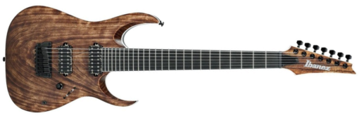 Ibanez RGAIX7U Iron Label 7 String DISCONTINED