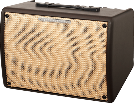 Ibanez Troubadour T30II Acoustic Guitar Amp