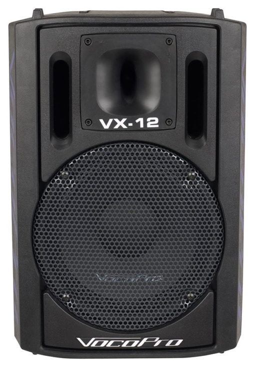PRO 12" KARAOKE SPEAKER