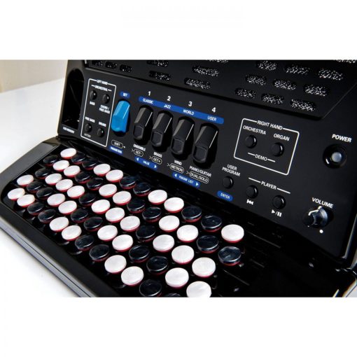 ROLAND FR-1xb   Button Type V-Accordion - Image 2