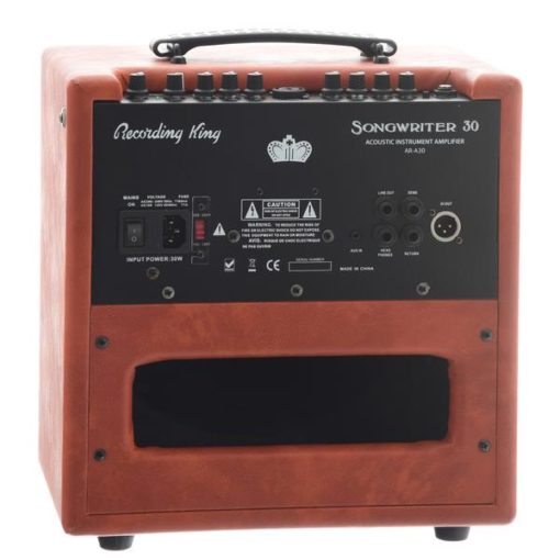 Recording King AR-A30 30 Watt Amp - Image 2