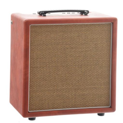 Recording King AR-A30 30 Watt Amp