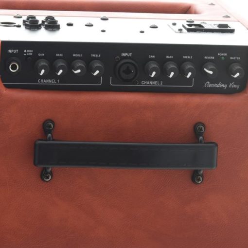 Recording King AR-A30 30 Watt Amp - Image 3