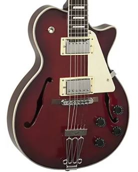 Johnson delta rose on sale guitar