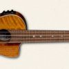 Luna Vista Eagle Concert Ukulele w/ bag