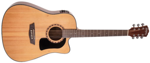 Washburn Apprentice D5CE A/E Guitar Package - Image 2