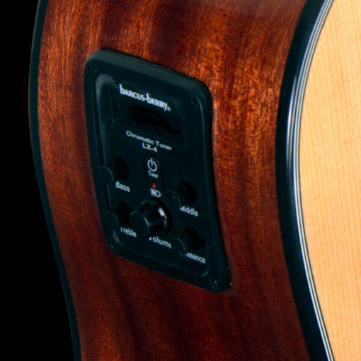 Washburn Apprentice D5CE A/E Guitar Package - Image 6