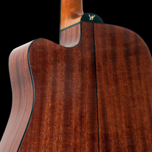 Washburn Apprentice D5CE A/E Guitar Package - Image 5