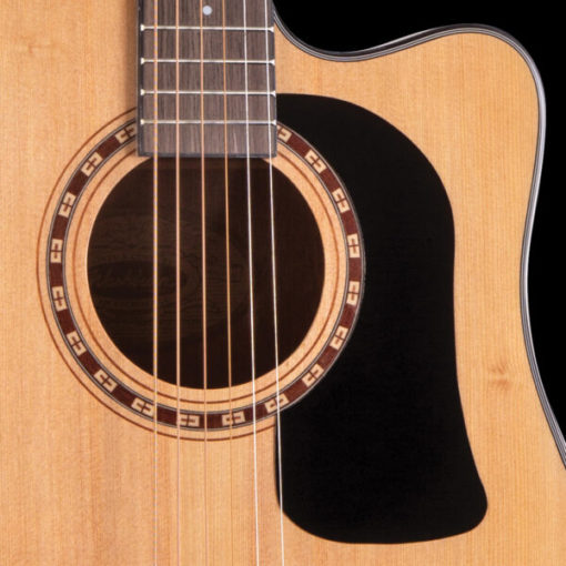 Washburn Apprentice D5CE A/E Guitar Package - Image 4