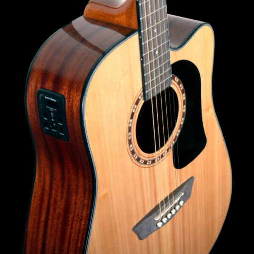 Washburn Apprentice D5CE A/E Guitar Package - Image 3