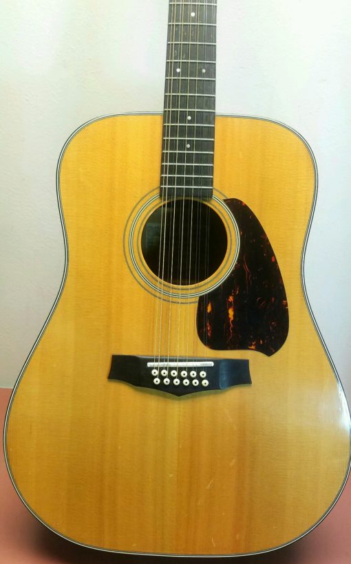 Ibanez V-302 12-String Guitar - USED (SOLD)