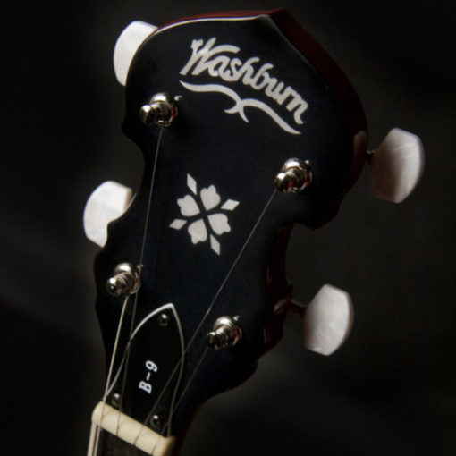 WASHBURN Americana B9 Banjo Pack - Sunburst - Image 4