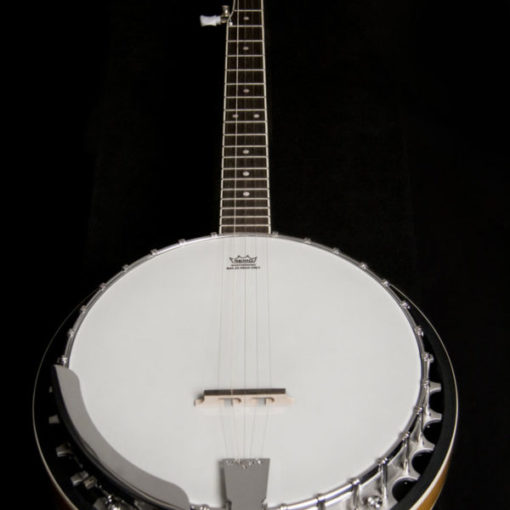 WASHBURN Americana B9 Banjo Pack - Sunburst - Image 3