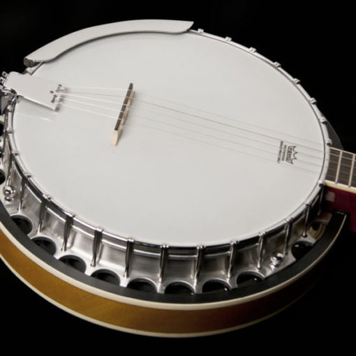 WASHBURN Americana B9 Banjo Pack - Sunburst - Image 2