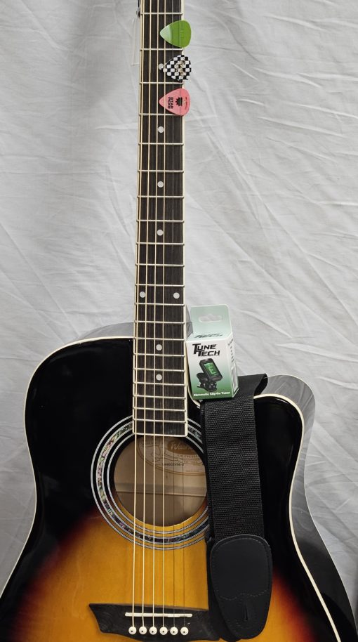 Washburn 90CE CHRISTMAS SPECIAL A/E Guitar PACKAGE!! - Tobacco Sunburst - Image 11