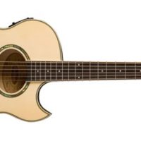 WASHBURN Spruce Top EA20 Cutaway A/E Guitar