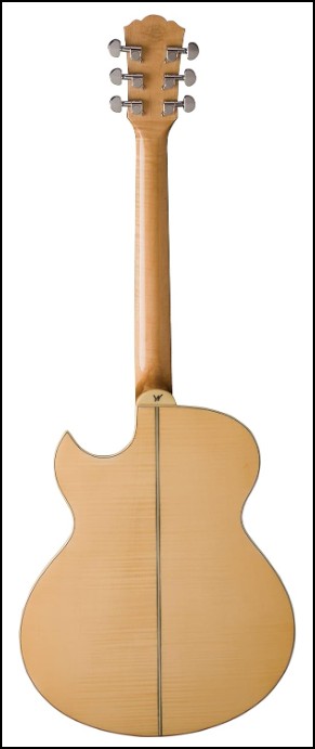 WASHBURN Spruce Top EA20 Cutaway A/E Guitar - Image 5