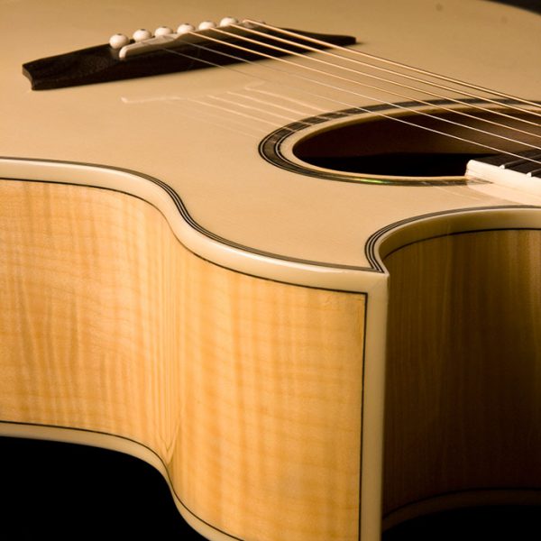 WASHBURN Spruce Top EA20 Cutaway A/E Guitar - Image 3