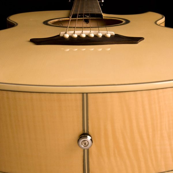 WASHBURN Spruce Top EA20 Cutaway A/E Guitar - Image 4